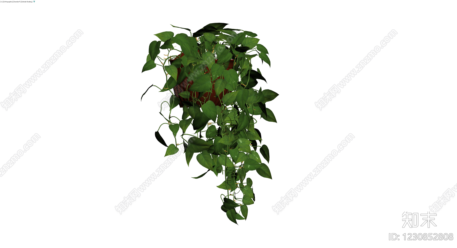 带盆绿萝盆栽模型3D模型下载【ID:1230852808】
