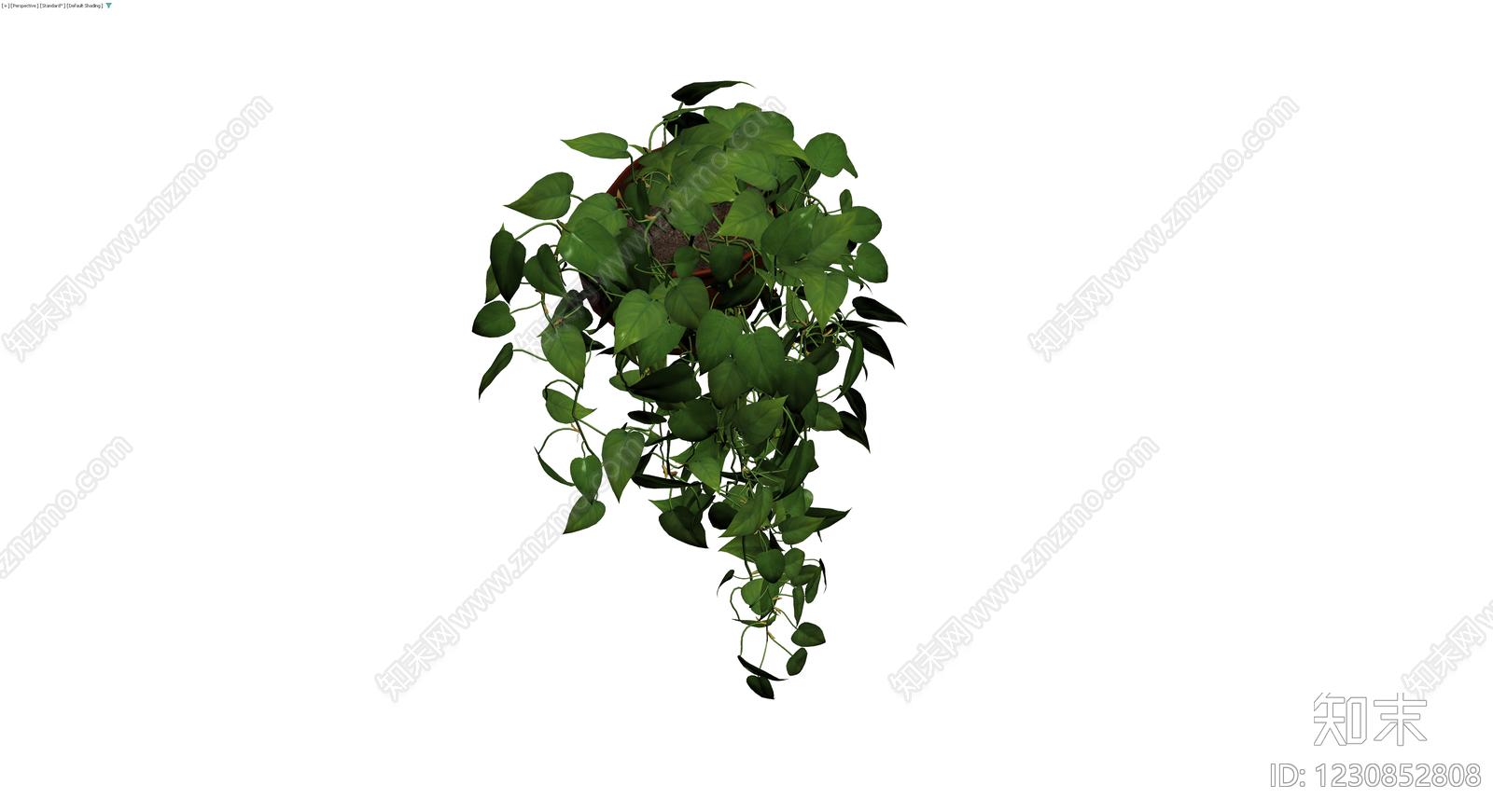 带盆绿萝盆栽模型3D模型下载【ID:1230852808】