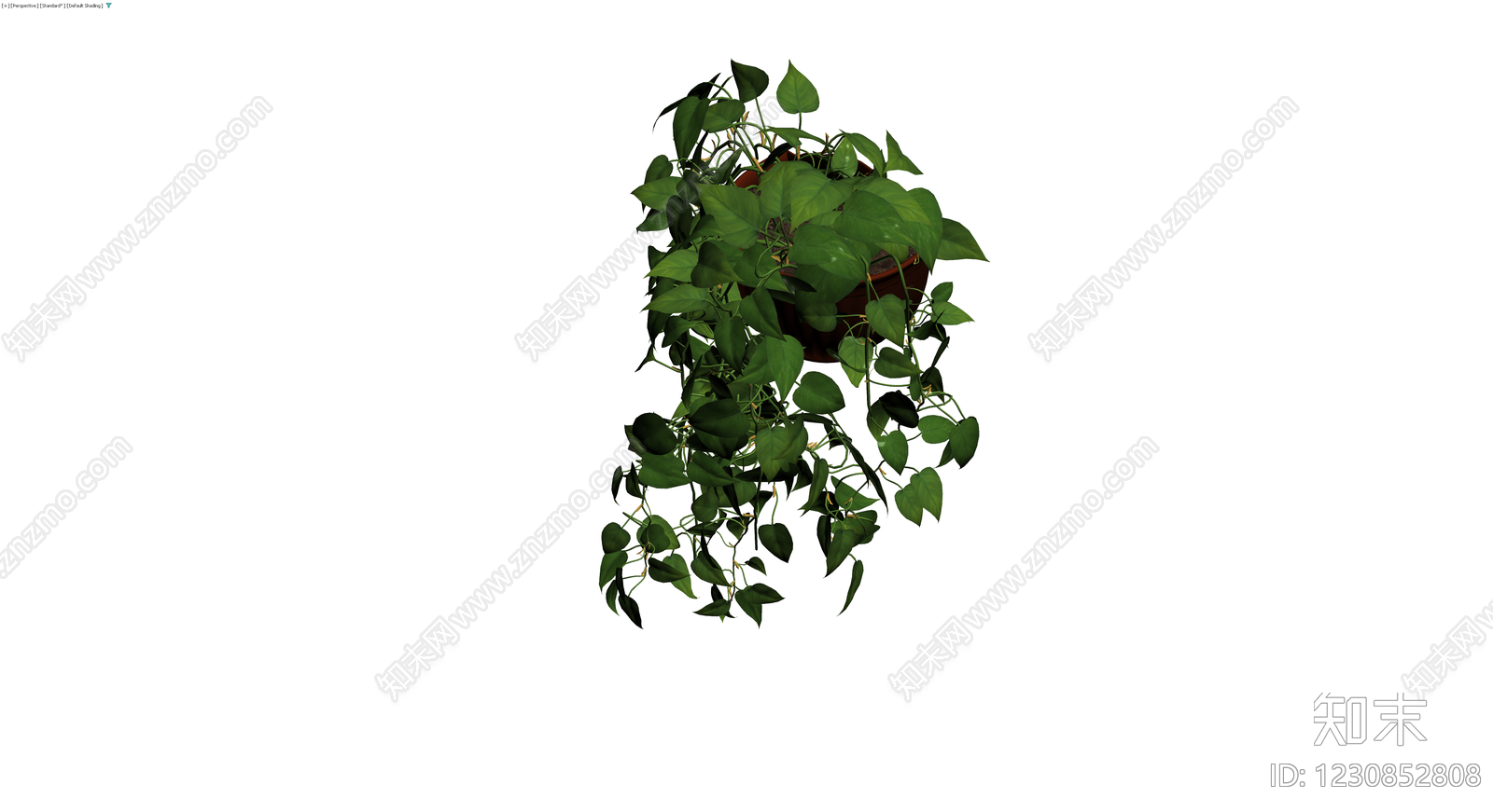 带盆绿萝盆栽模型3D模型下载【ID:1230852808】