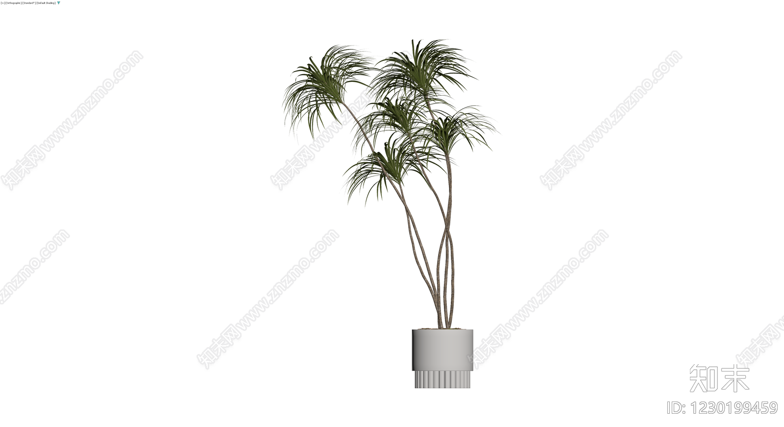 盆栽植物带盆3D模型下载【ID:1230199459】