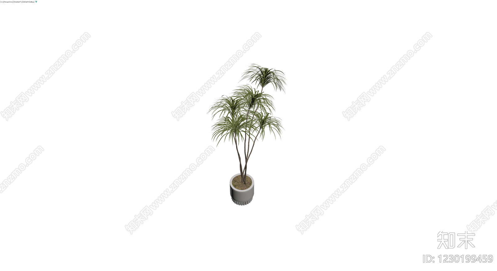 盆栽植物带盆3D模型下载【ID:1230199459】