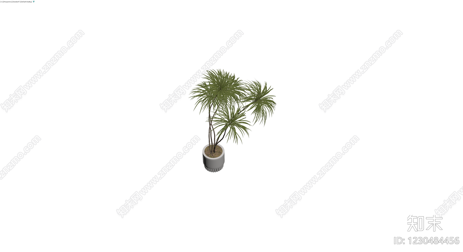 盆栽龙血树植物3D模型下载【ID:1230484456】
