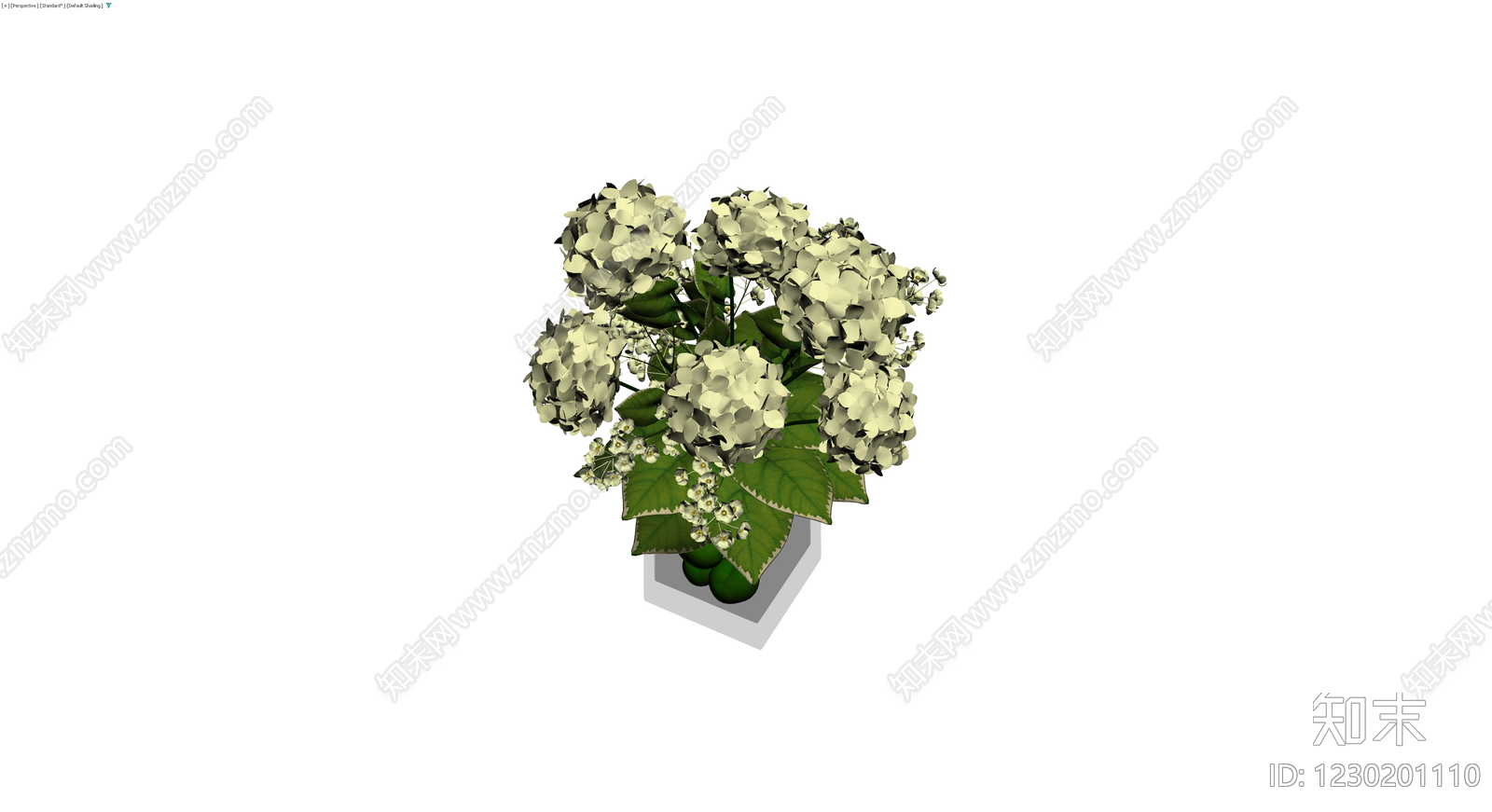 盆栽绣球花组合3D模型下载【ID:1230201110】