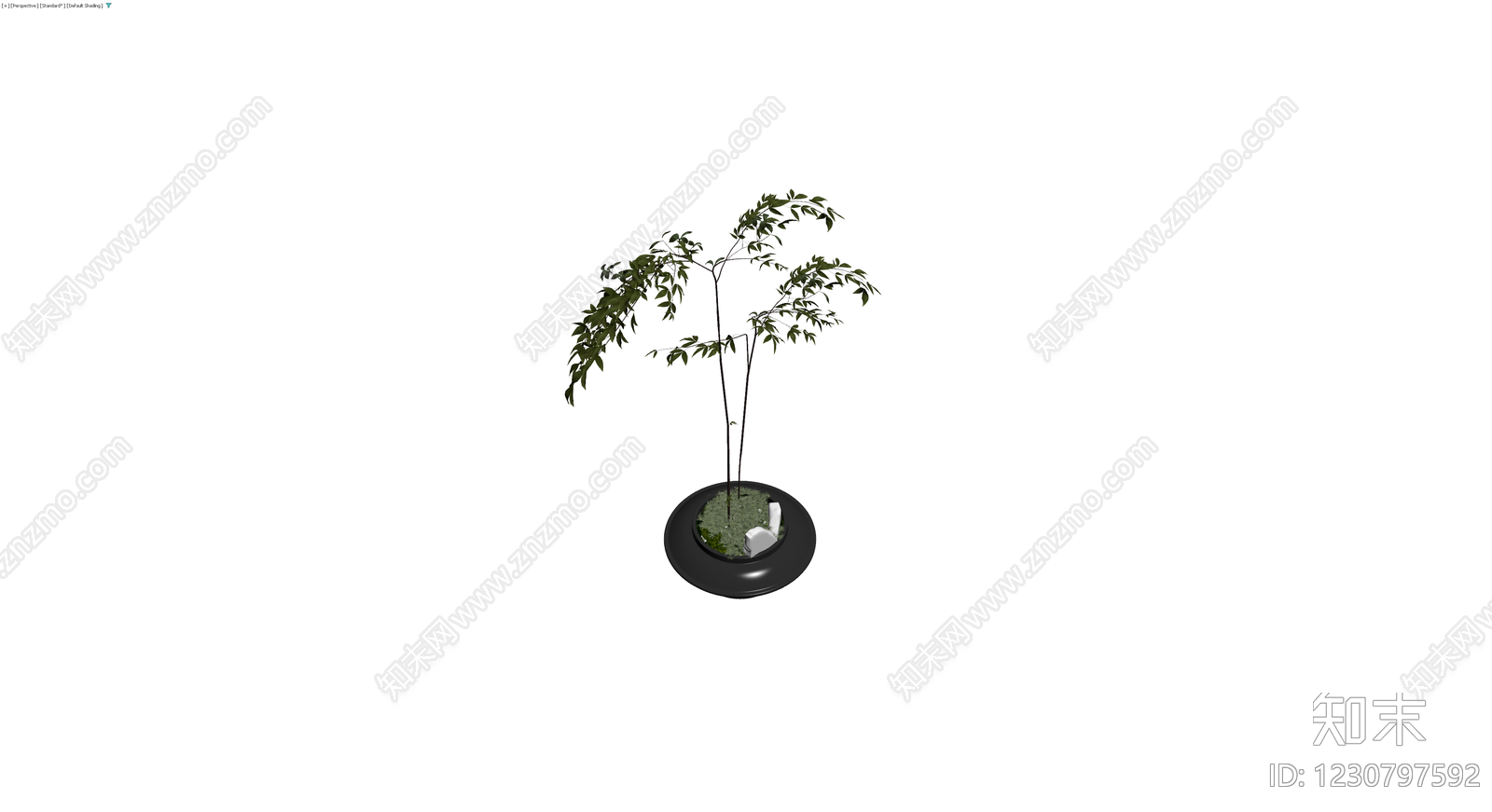 黑盆绿植盆栽模型3D模型下载【ID:1230797592】