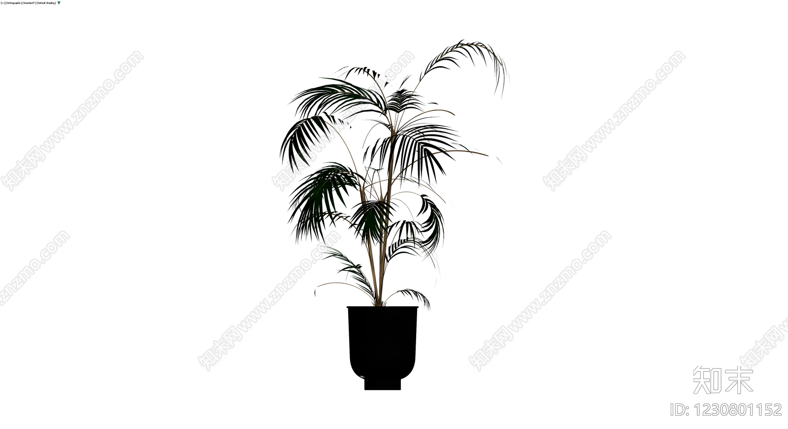 仿真盆栽植物模型3D模型下载【ID:1230801152】