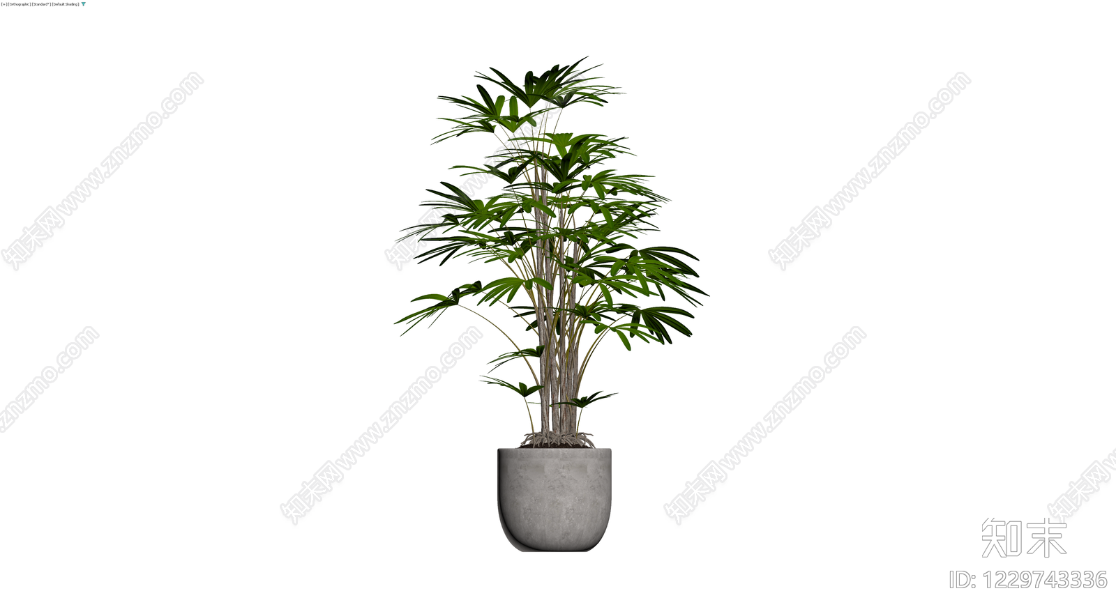 盆栽棕竹植物3D模型下载【ID:1229743336】