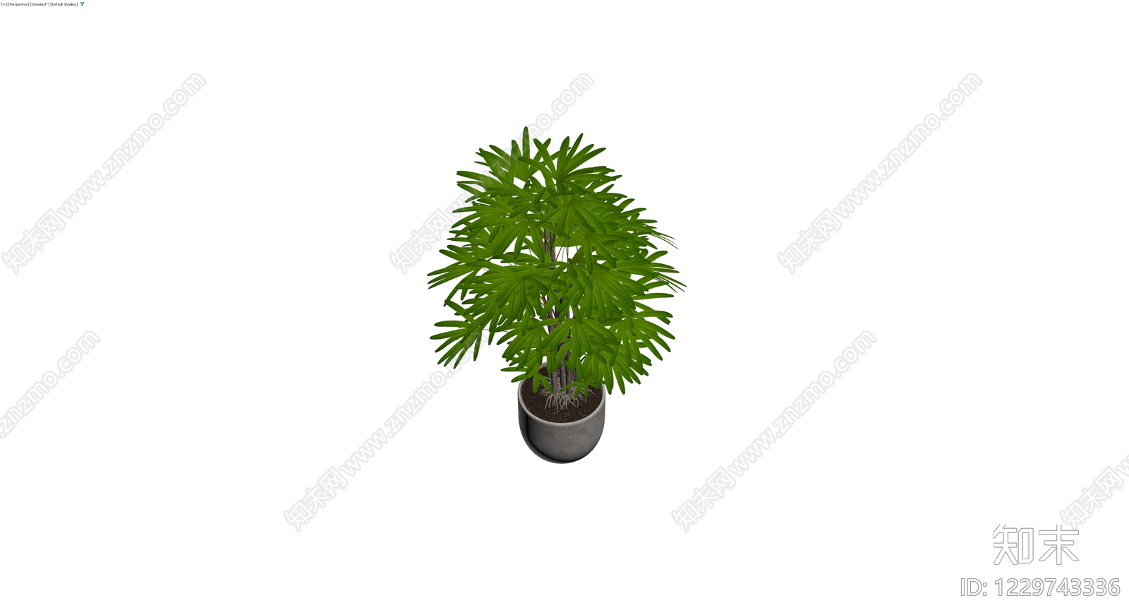 盆栽棕竹植物3D模型下载【ID:1229743336】