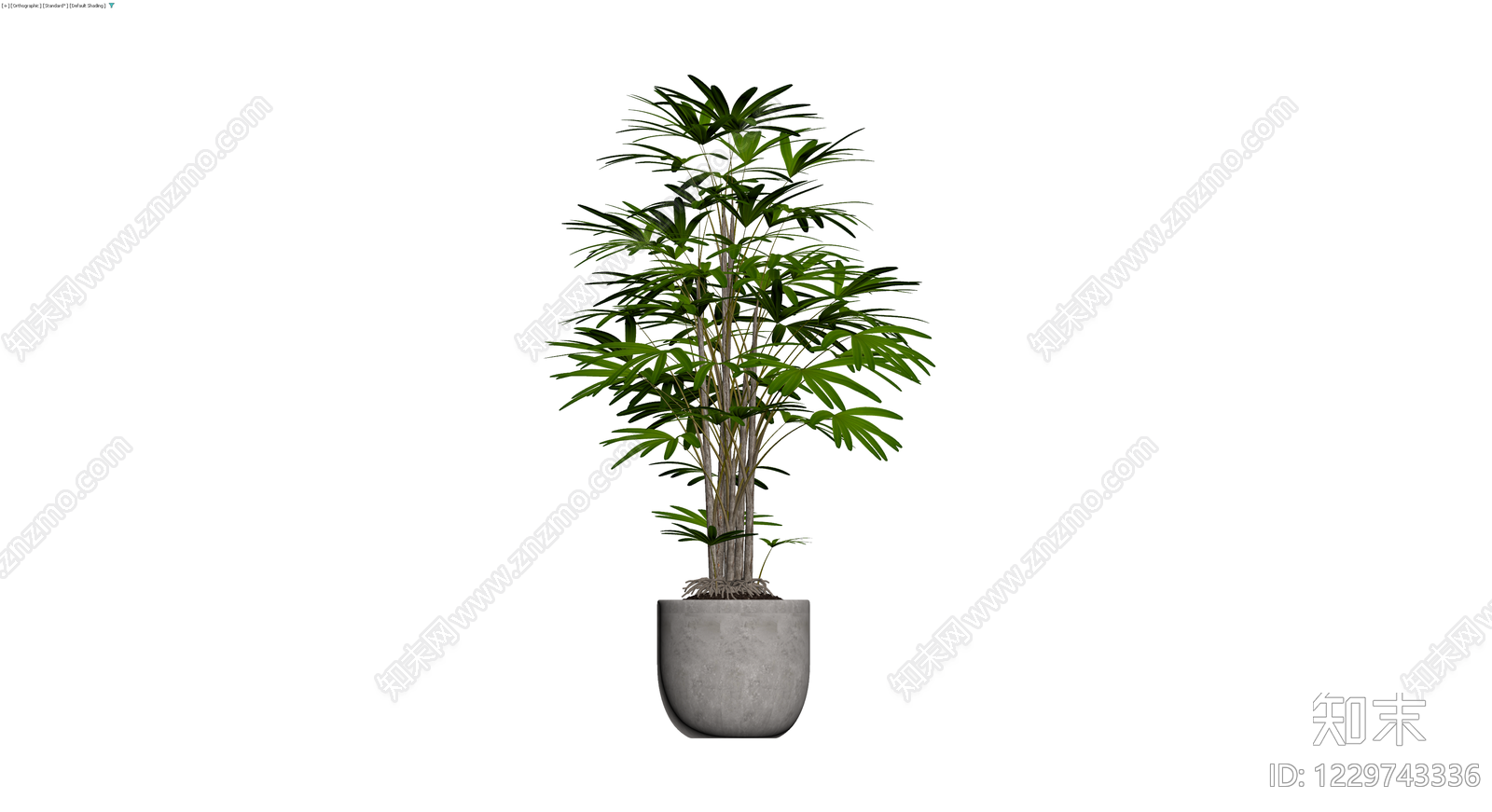 盆栽棕竹植物3D模型下载【ID:1229743336】