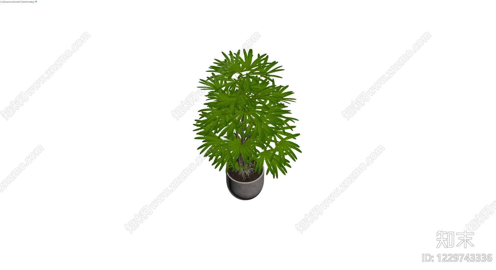 盆栽棕竹植物3D模型下载【ID:1229743336】