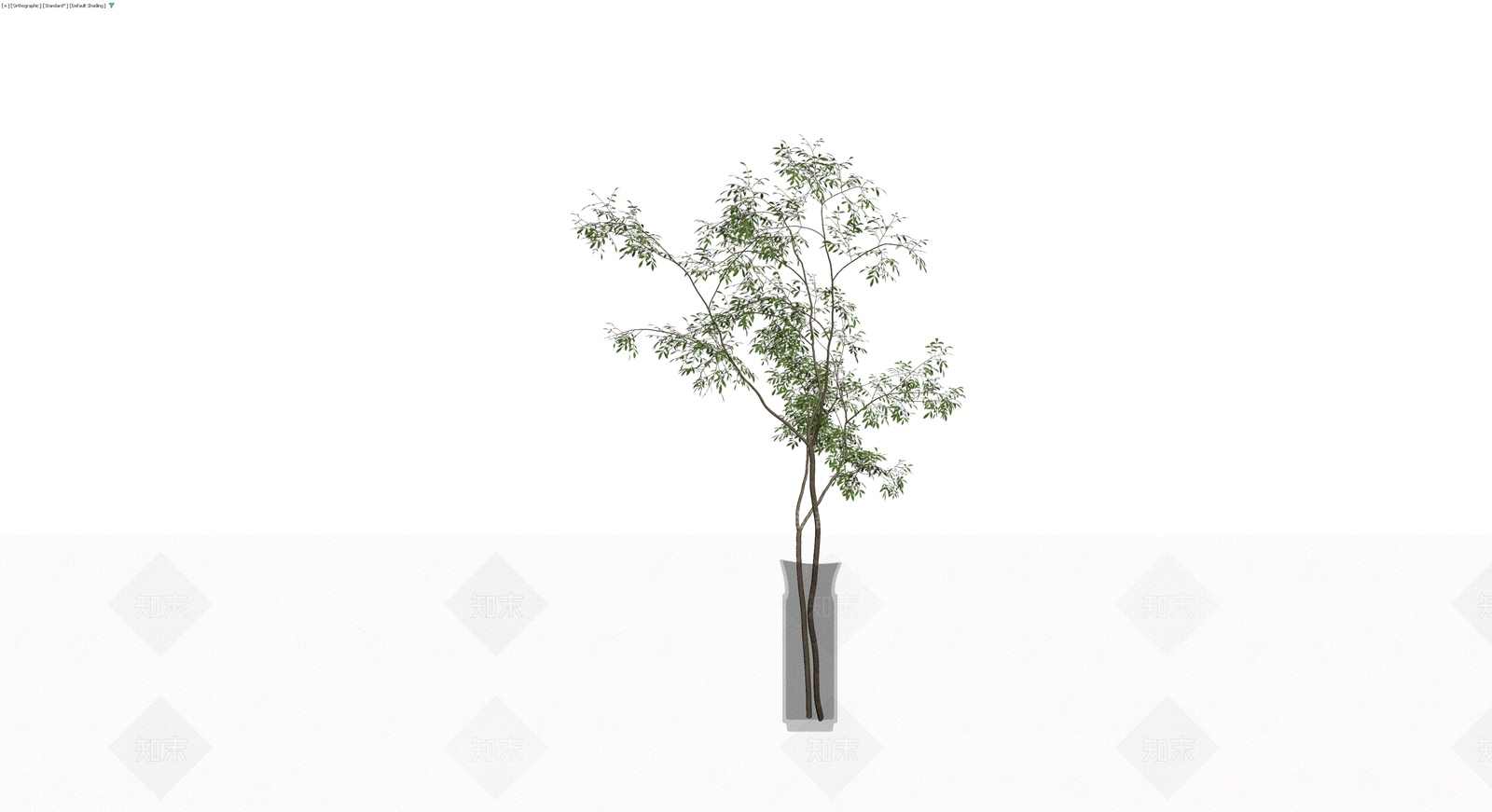 盆栽植物带花瓶3D模型下载【ID:1230724474】