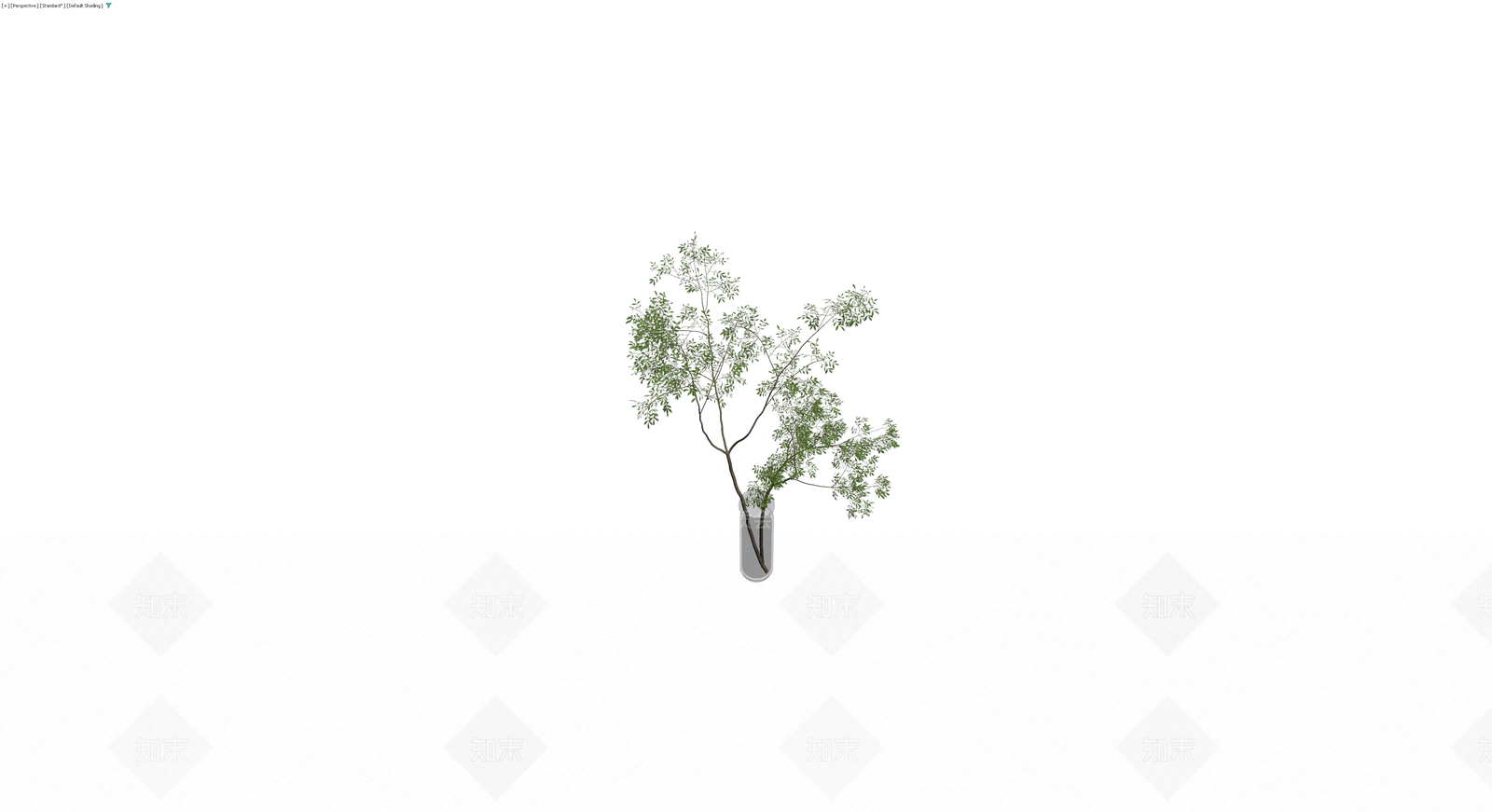 盆栽植物带花瓶3D模型下载【ID:1230724474】
