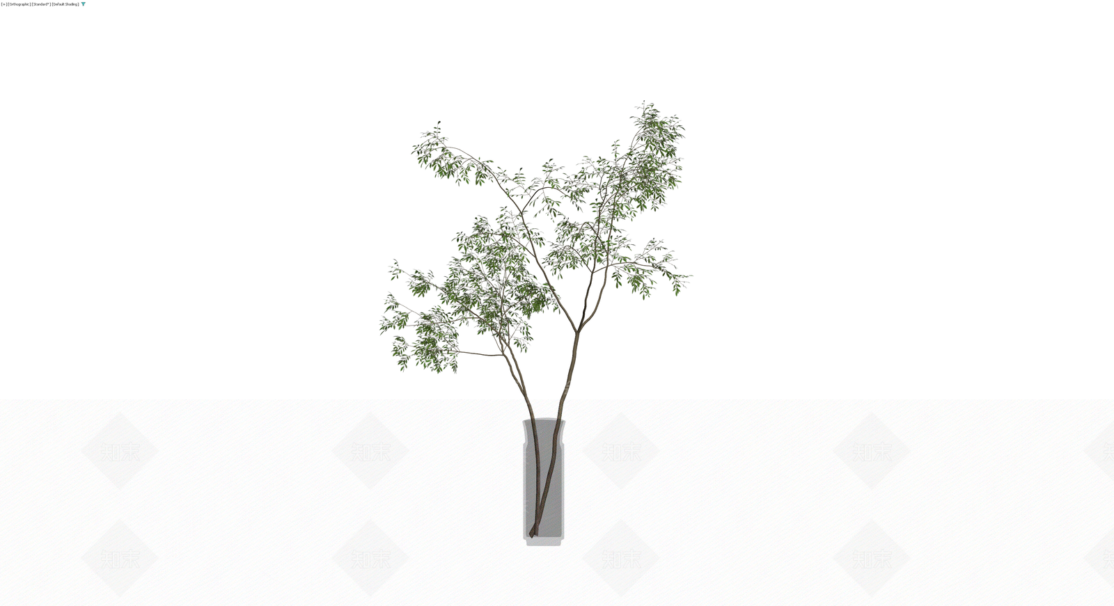 盆栽植物带花瓶3D模型下载【ID:1230724474】