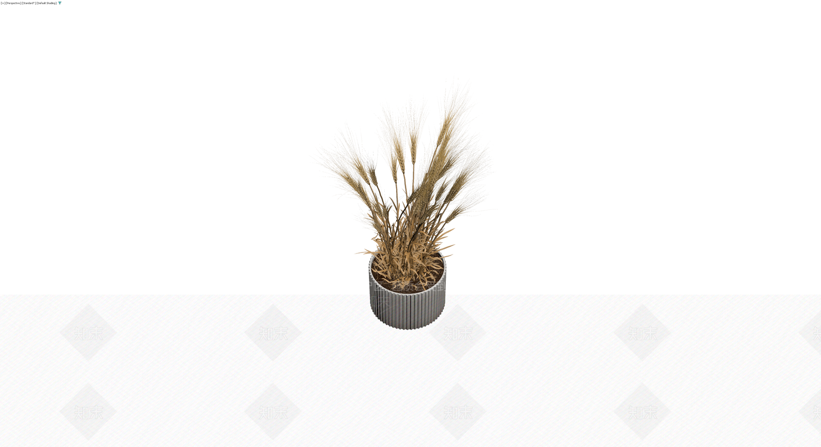 银色竖纹盆栽麦穗3D模型下载【ID:1229870924】