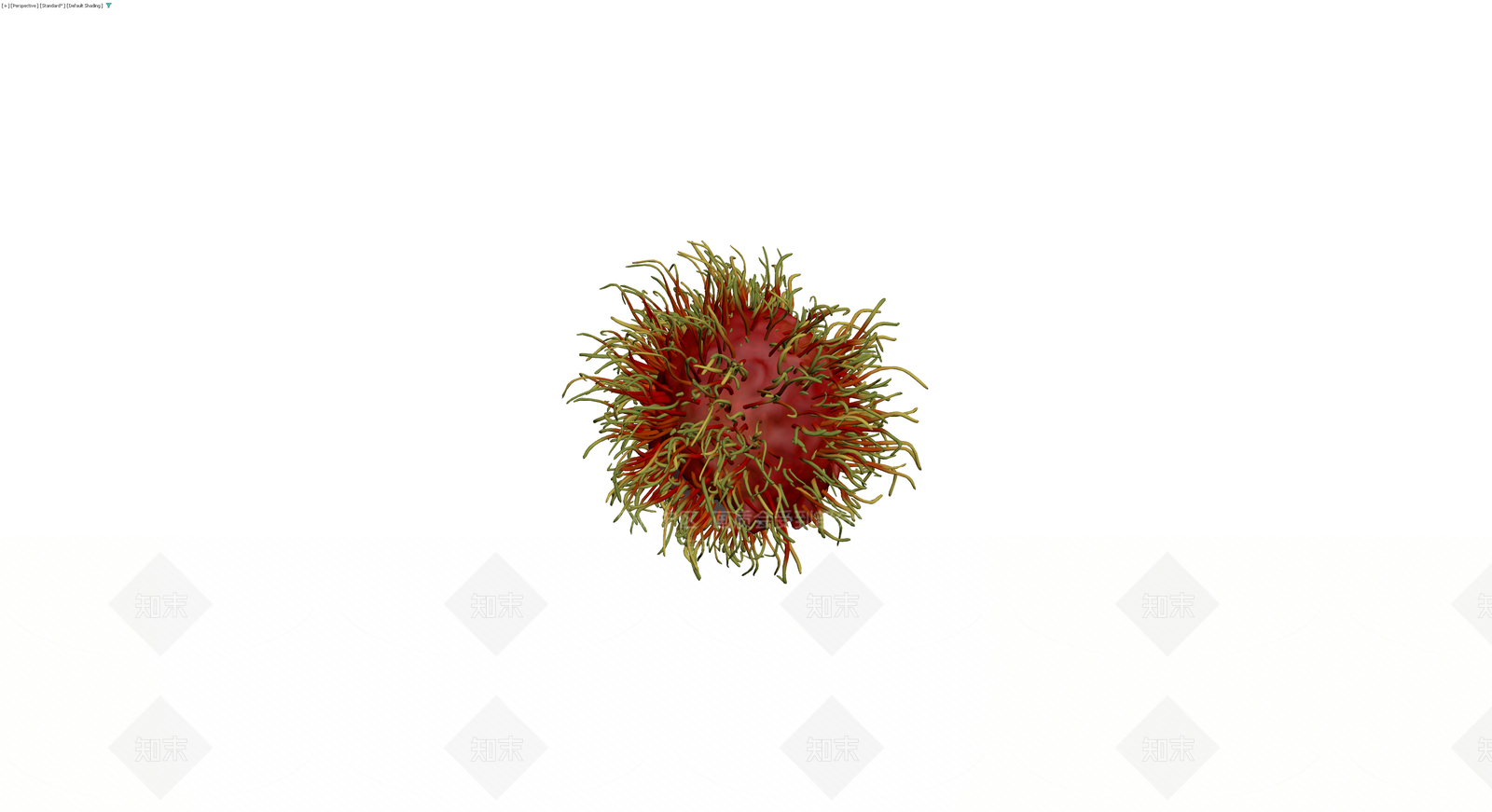 红毛丹水果模型3D模型下载【ID:1229976595】