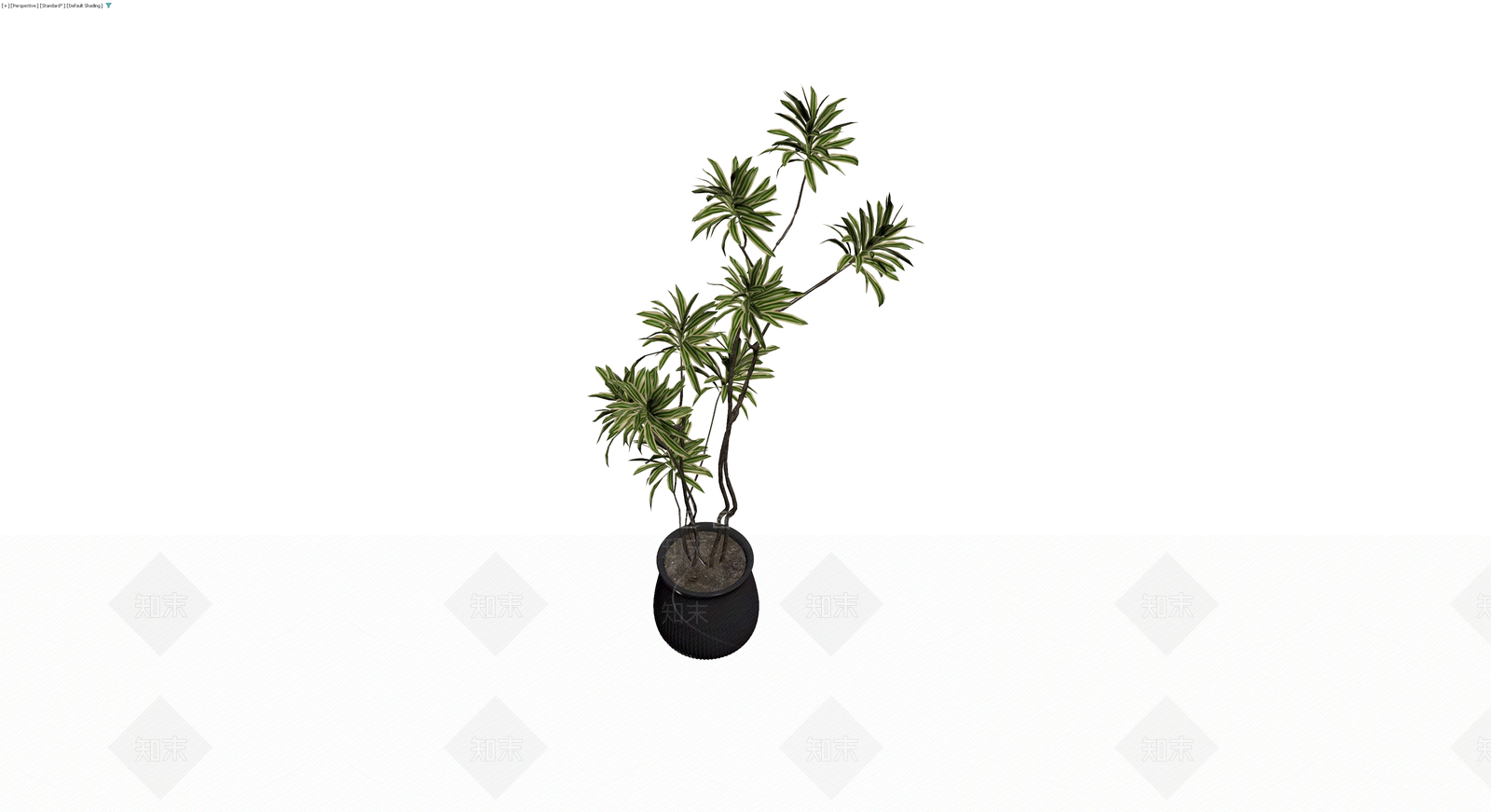 盆栽植物带黑色花盆3D模型下载【ID:1230675389】