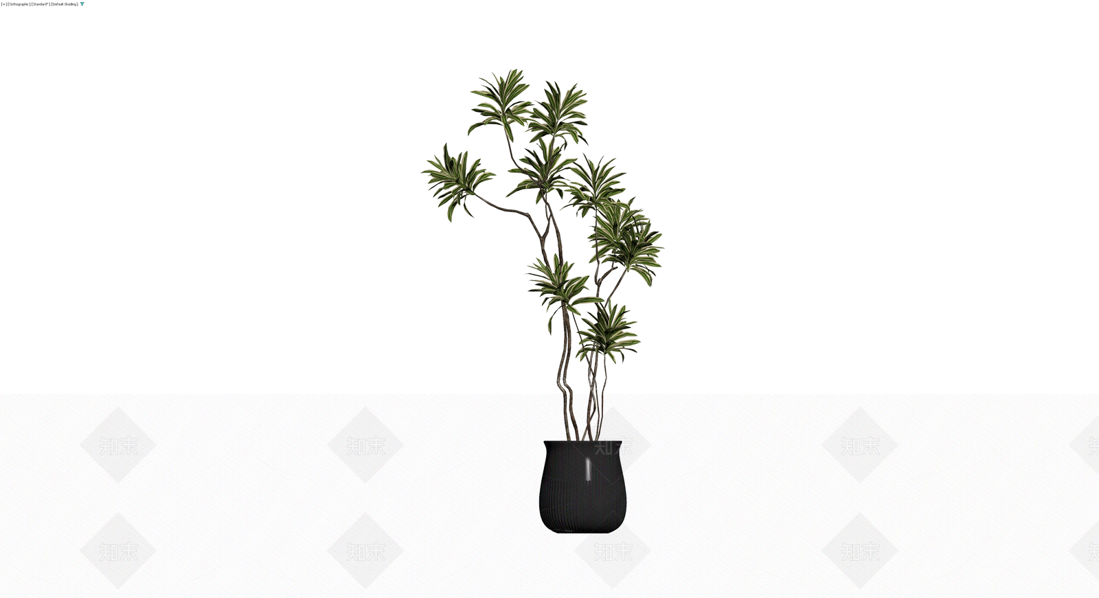 盆栽植物带黑色花盆3D模型下载【ID:1230675389】
