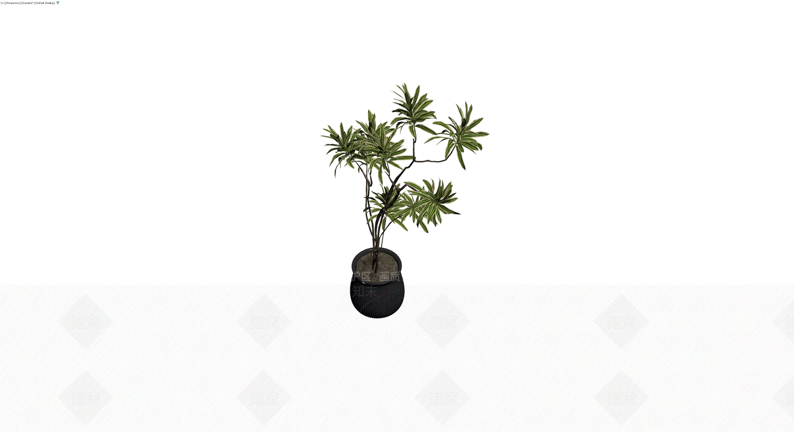 盆栽植物带黑色花盆3D模型下载【ID:1230675389】