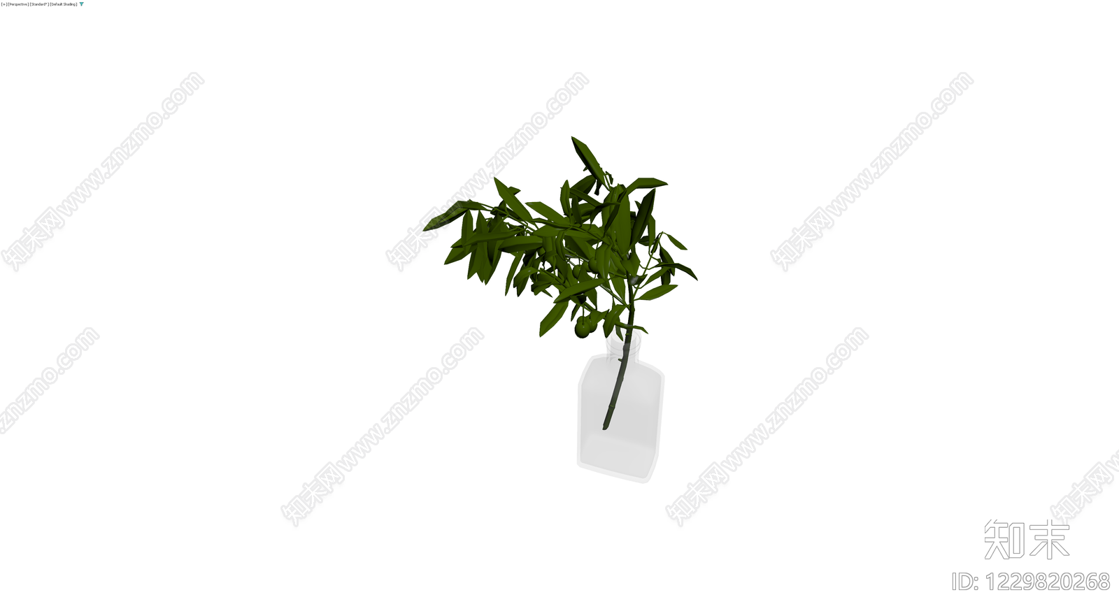 带瓶橄榄枝植物盆栽3D模型下载【ID:1229820268】
