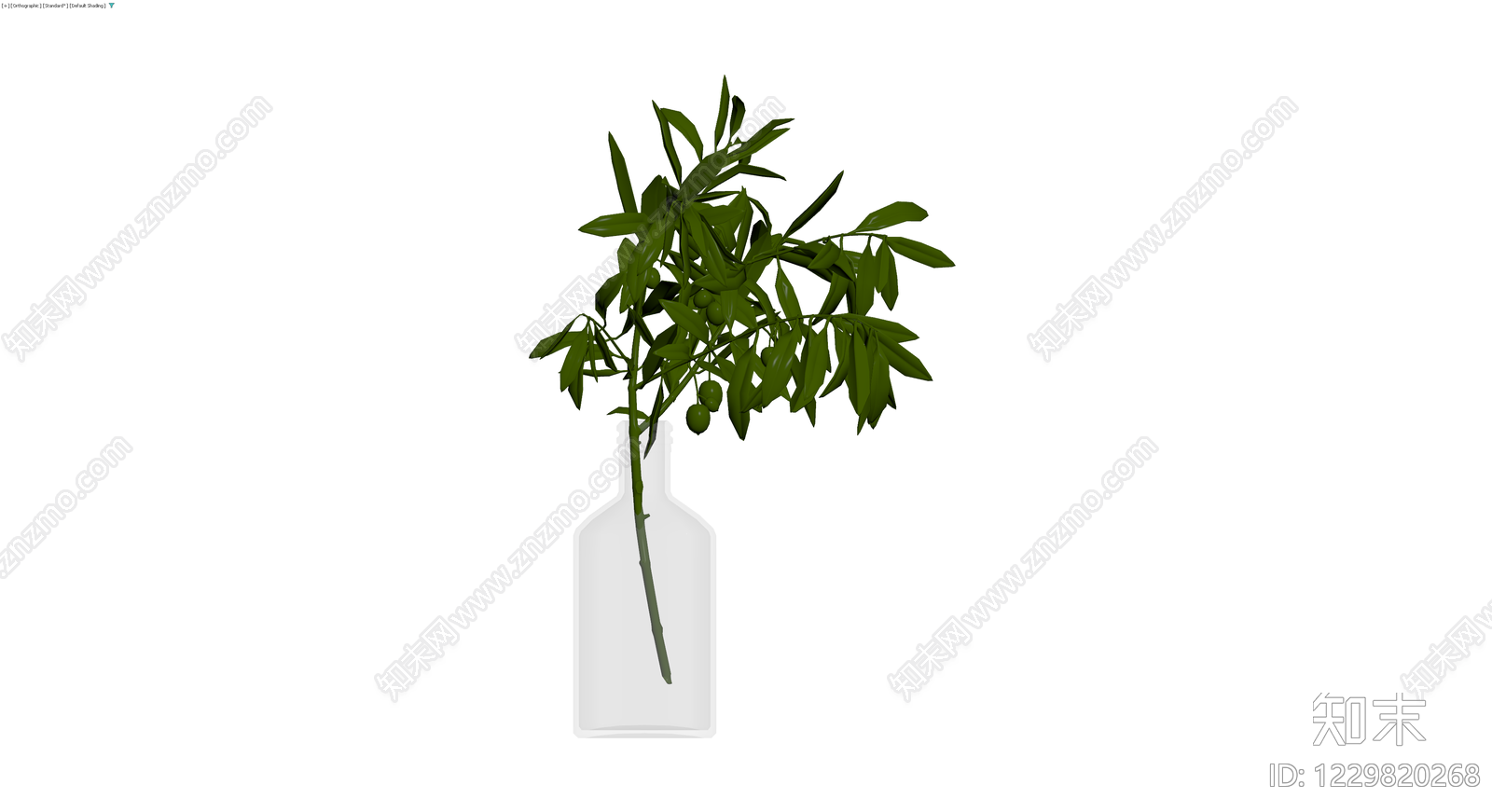带瓶橄榄枝植物盆栽3D模型下载【ID:1229820268】