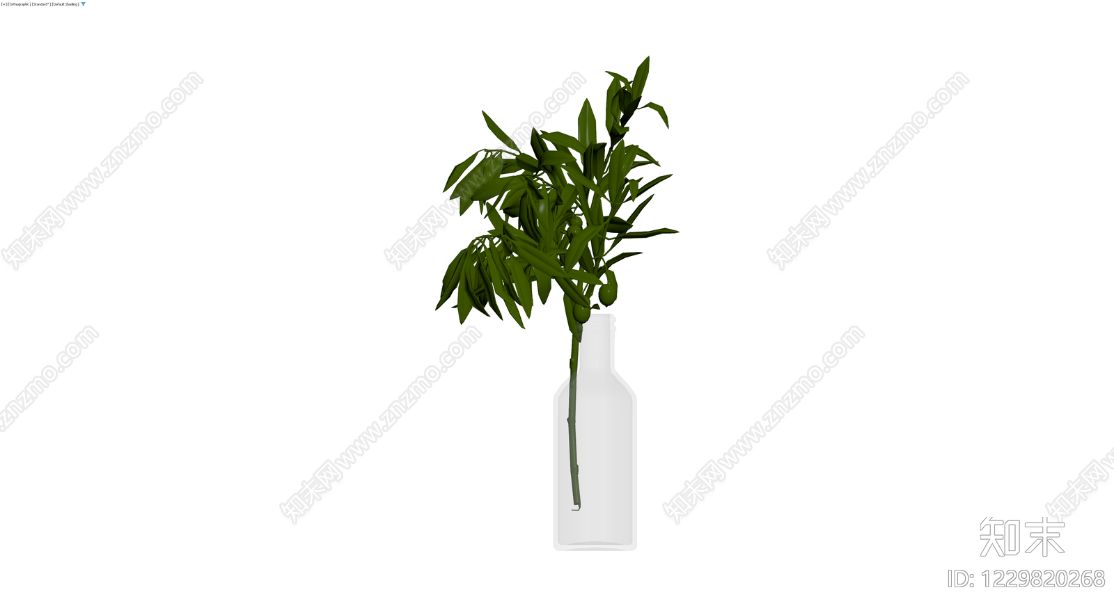 带瓶橄榄枝植物盆栽3D模型下载【ID:1229820268】
