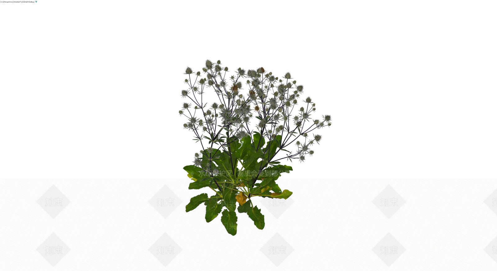 蓝刺头植物盆栽组合3D模型下载【ID:1229943061】