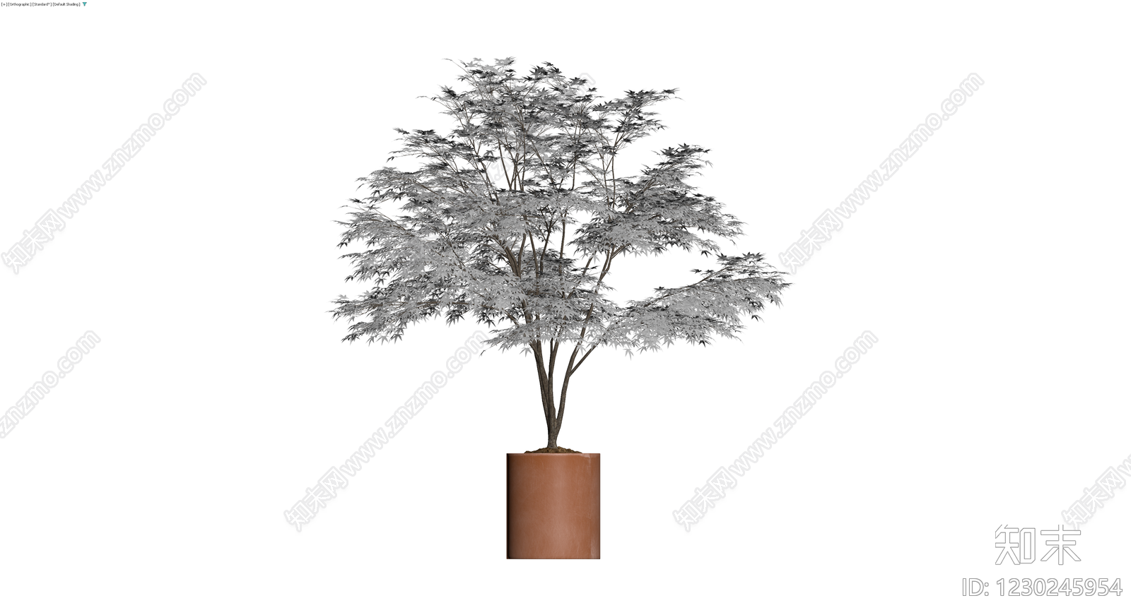 盆栽枫树带盆3D模型下载【ID:1230245954】