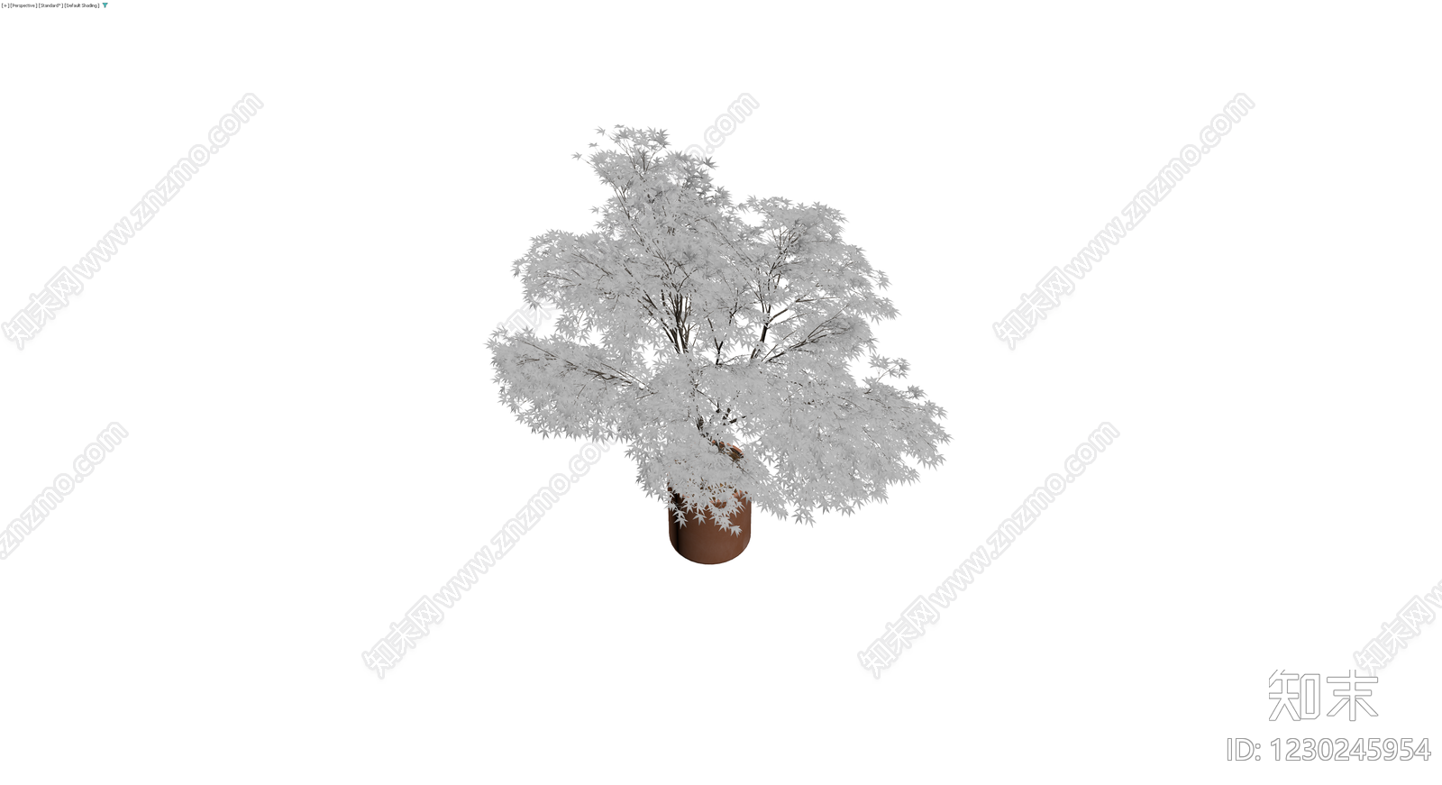 盆栽枫树带盆3D模型下载【ID:1230245954】