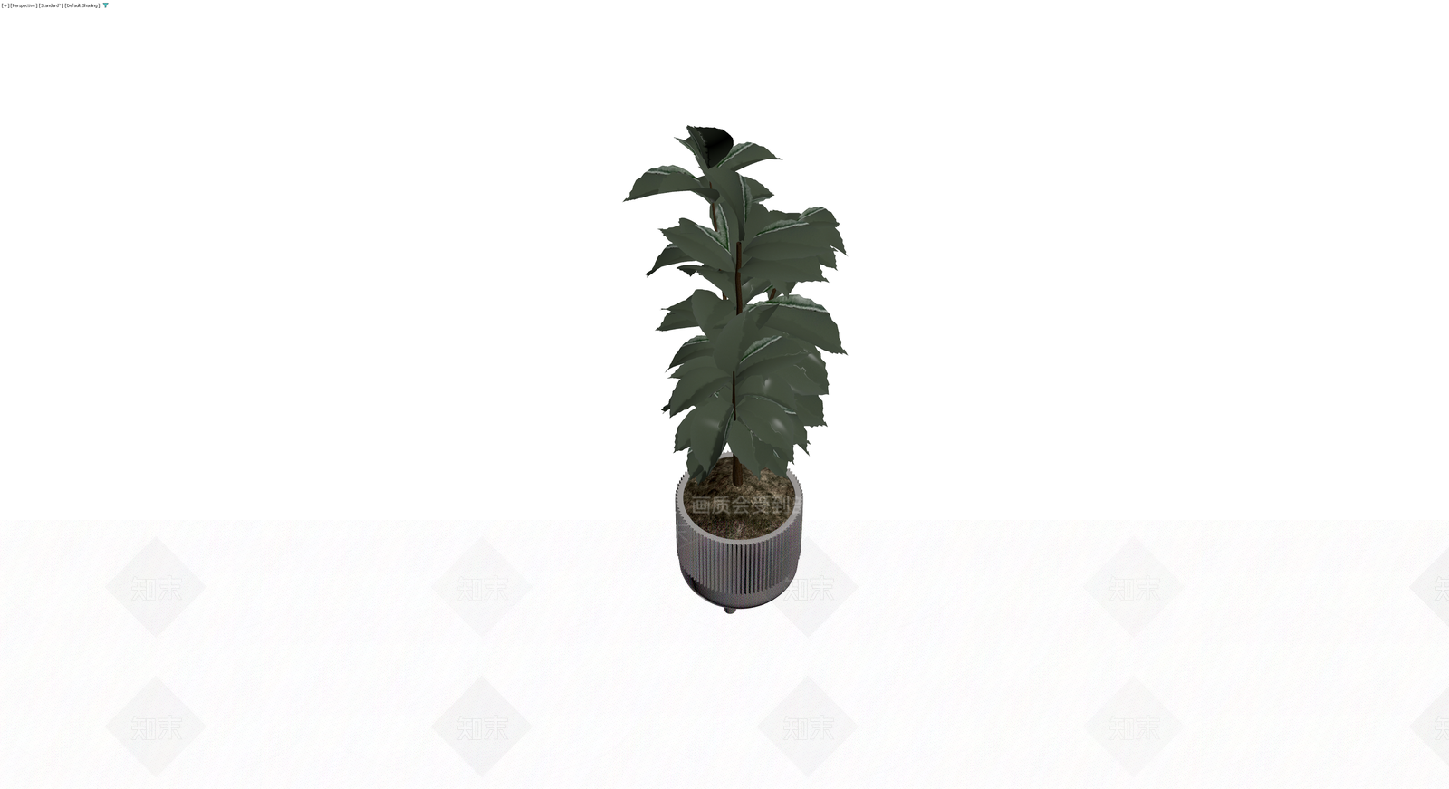 盆栽植物带纹理花盆3D模型下载【ID:1230344518】