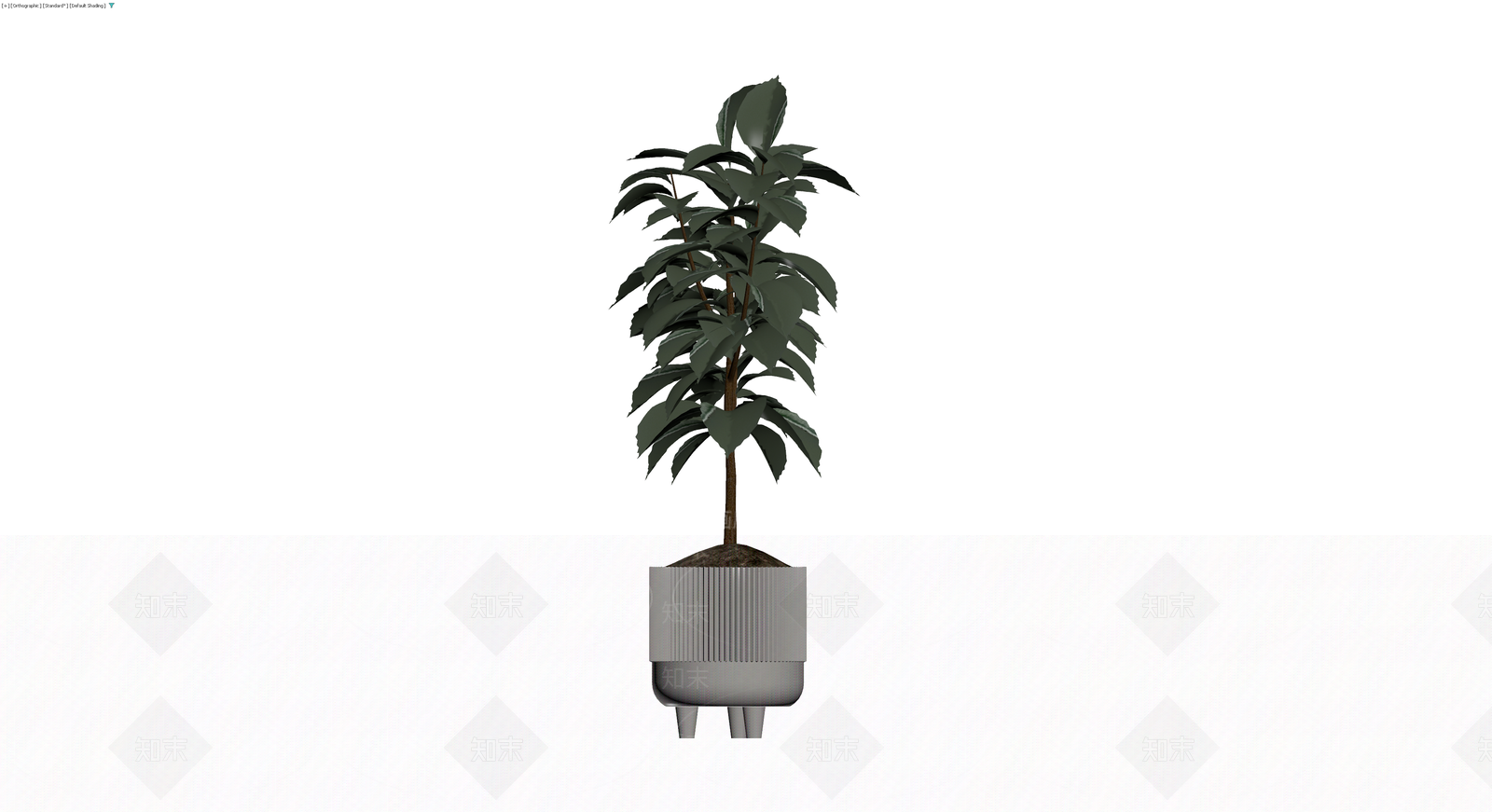 盆栽植物带纹理花盆3D模型下载【ID:1230344518】