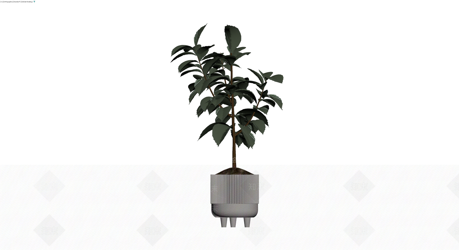 盆栽植物带纹理花盆3D模型下载【ID:1230344518】