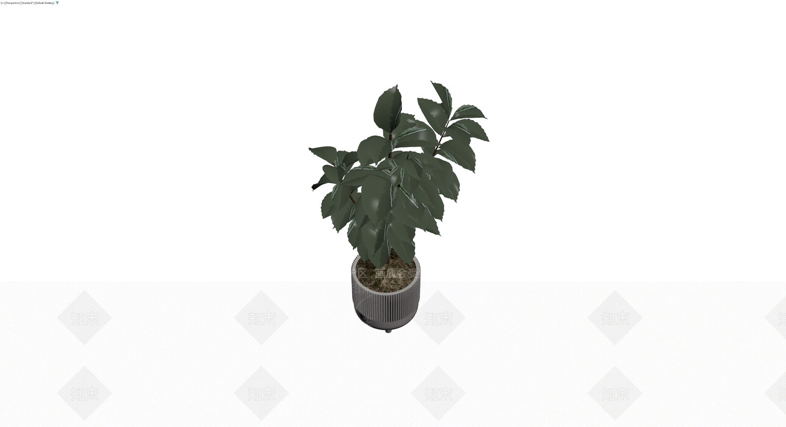 盆栽植物带纹理花盆3D模型下载【ID:1230344518】