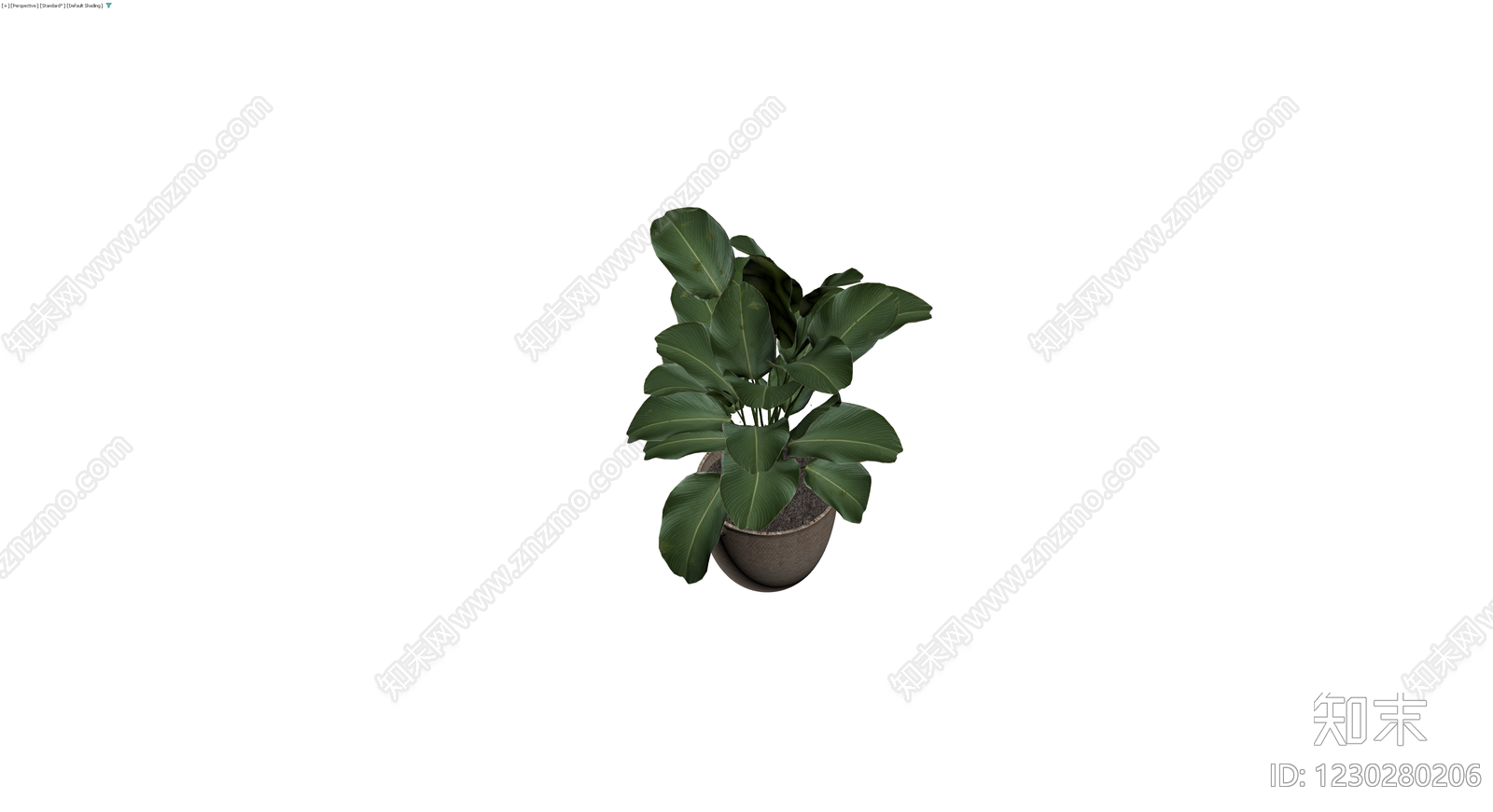 编织盆绿植盆栽3D模型下载【ID:1230280206】