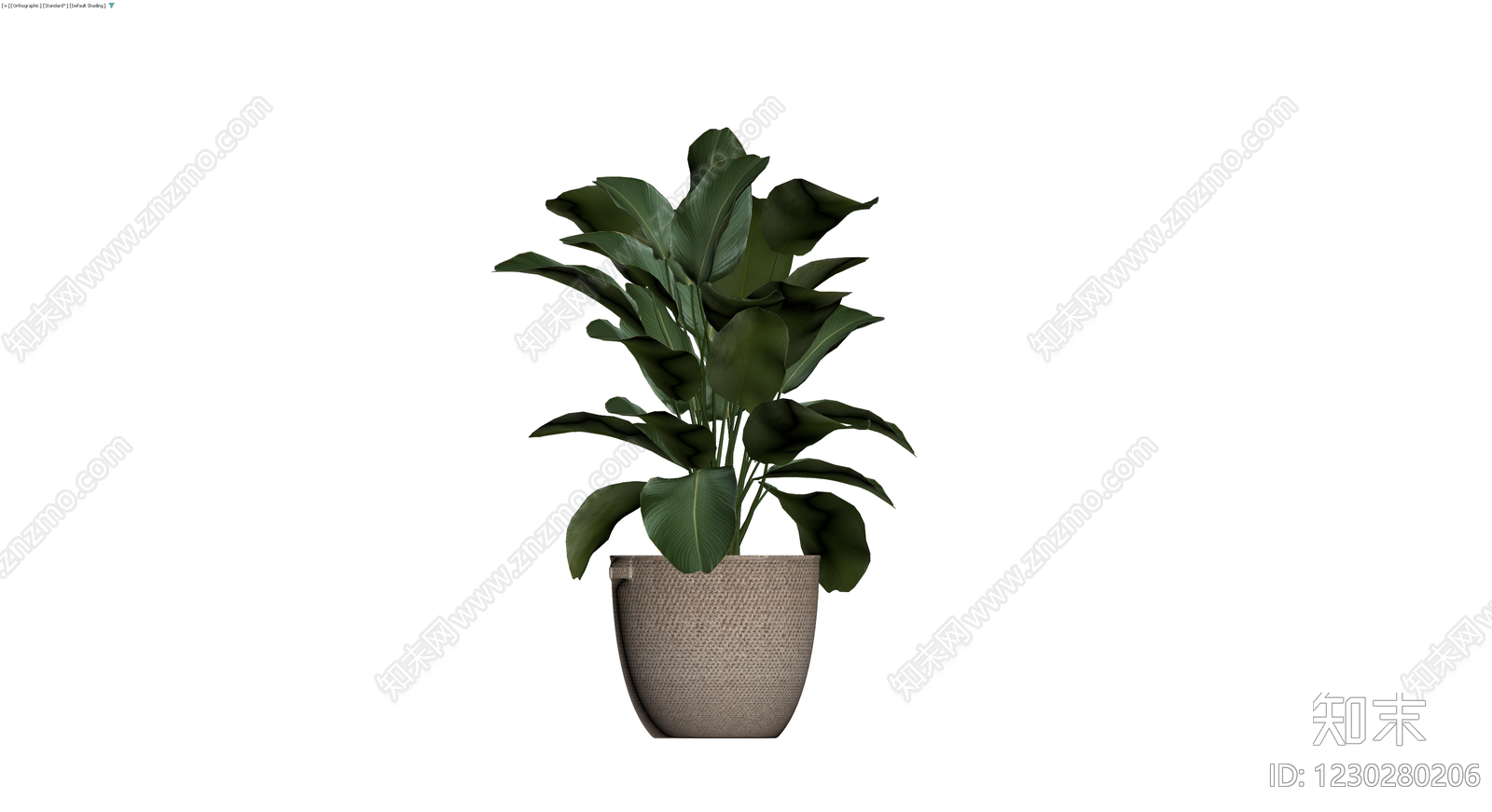 编织盆绿植盆栽3D模型下载【ID:1230280206】