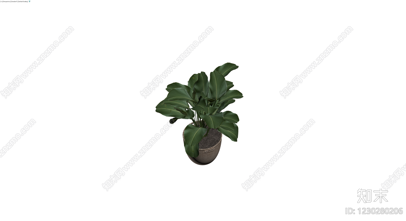 编织盆绿植盆栽3D模型下载【ID:1230280206】