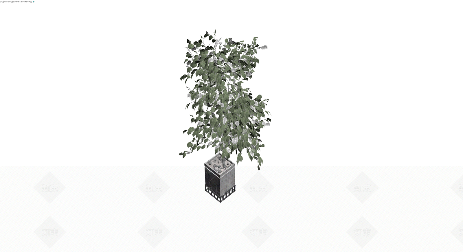 方形盆栽绿植模型3D模型下载【ID:1230461557】