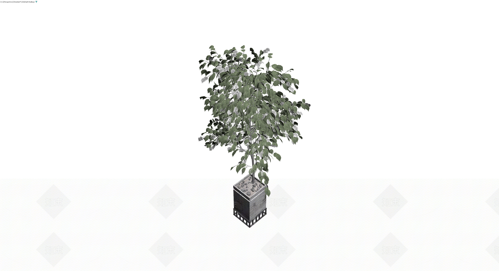 方形盆栽绿植模型3D模型下载【ID:1230461557】