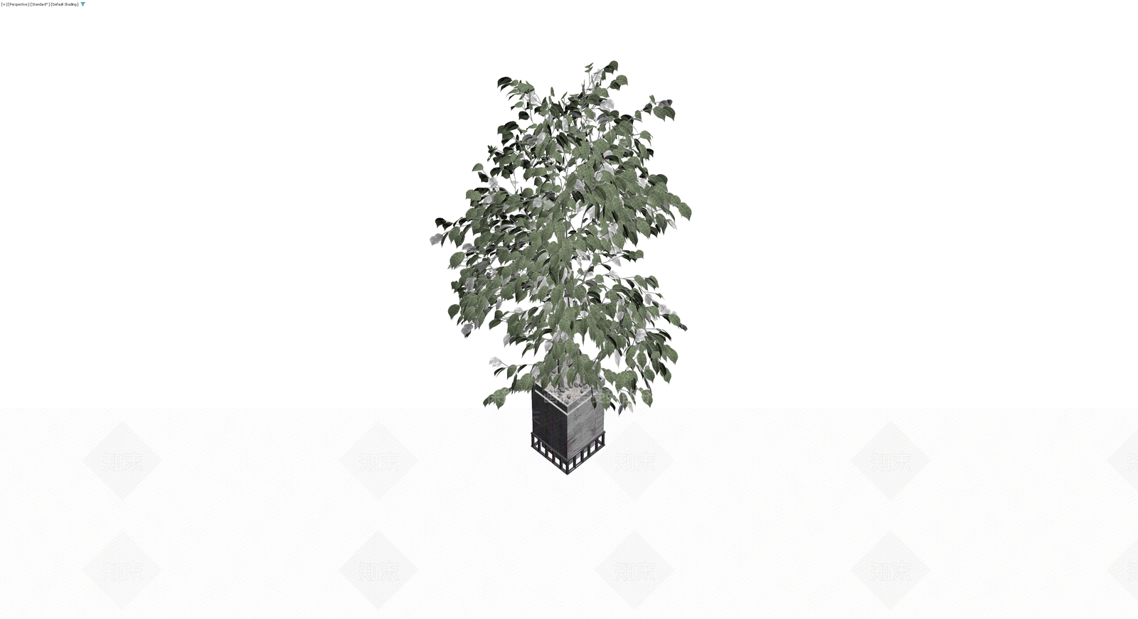 方形盆栽绿植模型3D模型下载【ID:1230461557】