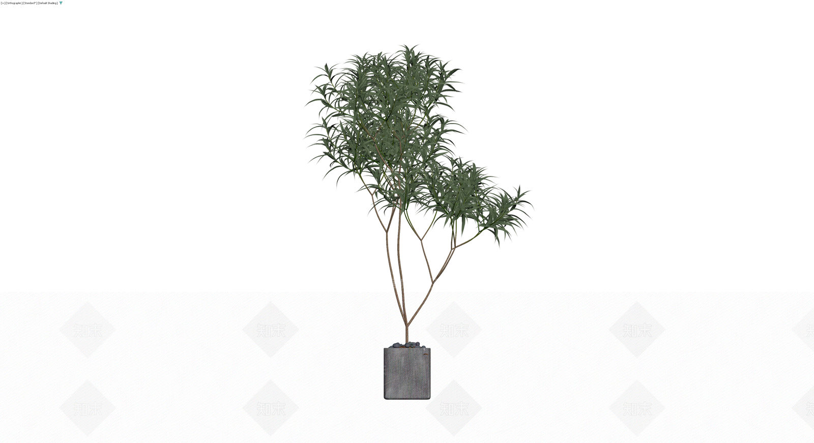 盆栽绿植景观小品3D模型下载【ID:1230643893】