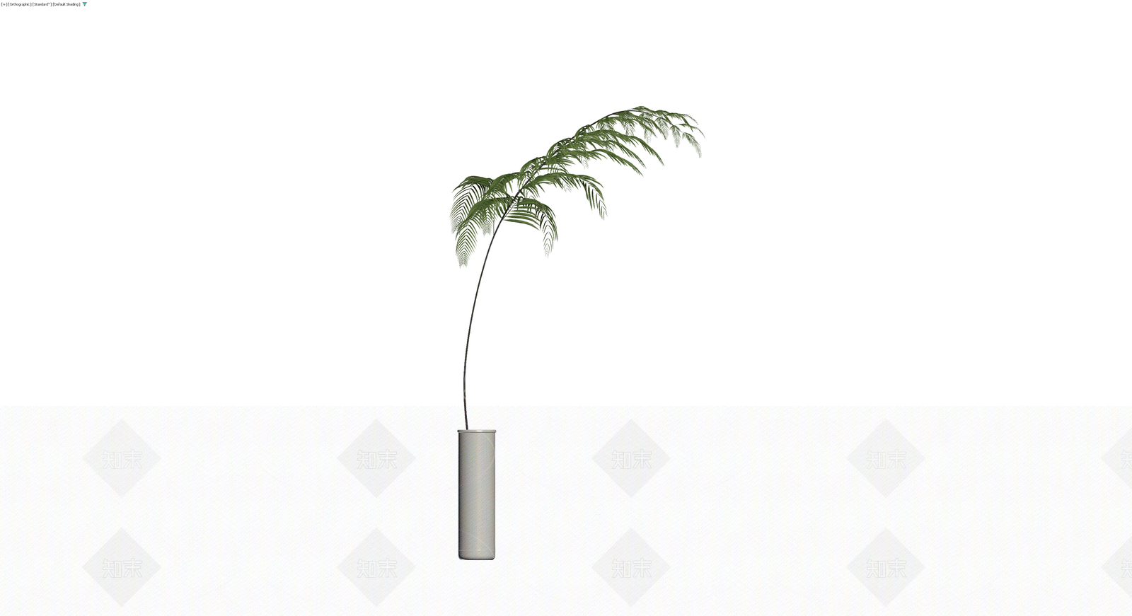 盆栽蕨类植物模型3D模型下载【ID:1230318571】