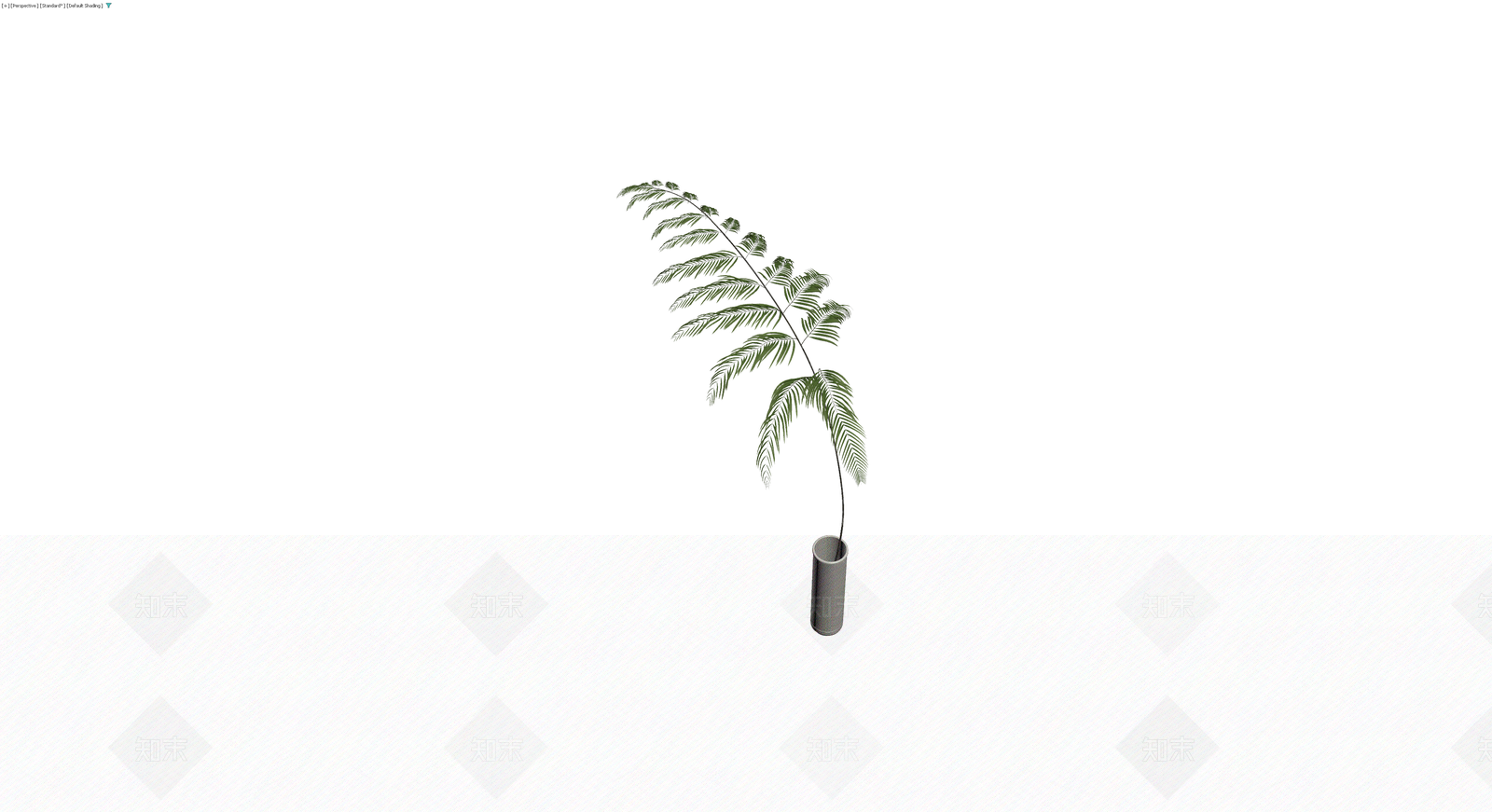 盆栽蕨类植物模型3D模型下载【ID:1230318571】