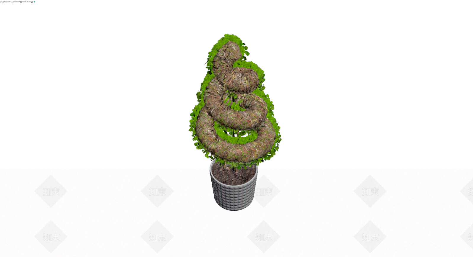 螺旋造型盆栽植物3D模型下载【ID:1230371476】