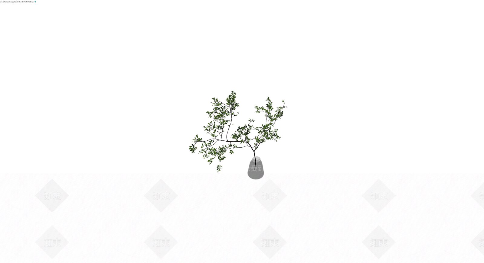 带瓶插枝植物盆栽3D模型下载【ID:1229635958】