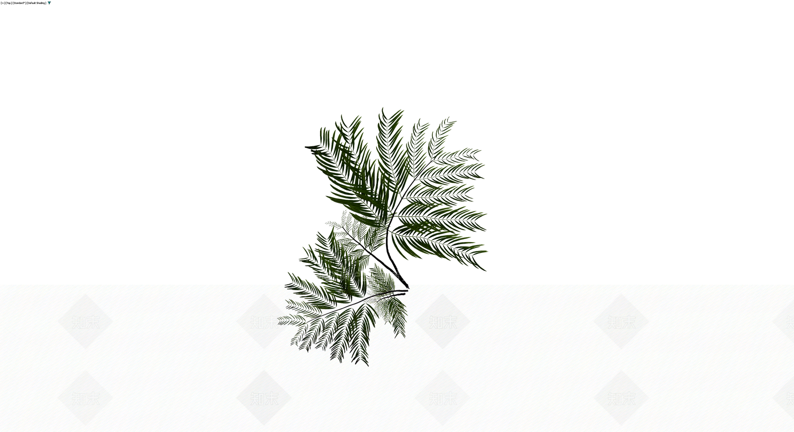 绿色蕨类植物模型3D模型下载【ID:1229612338】