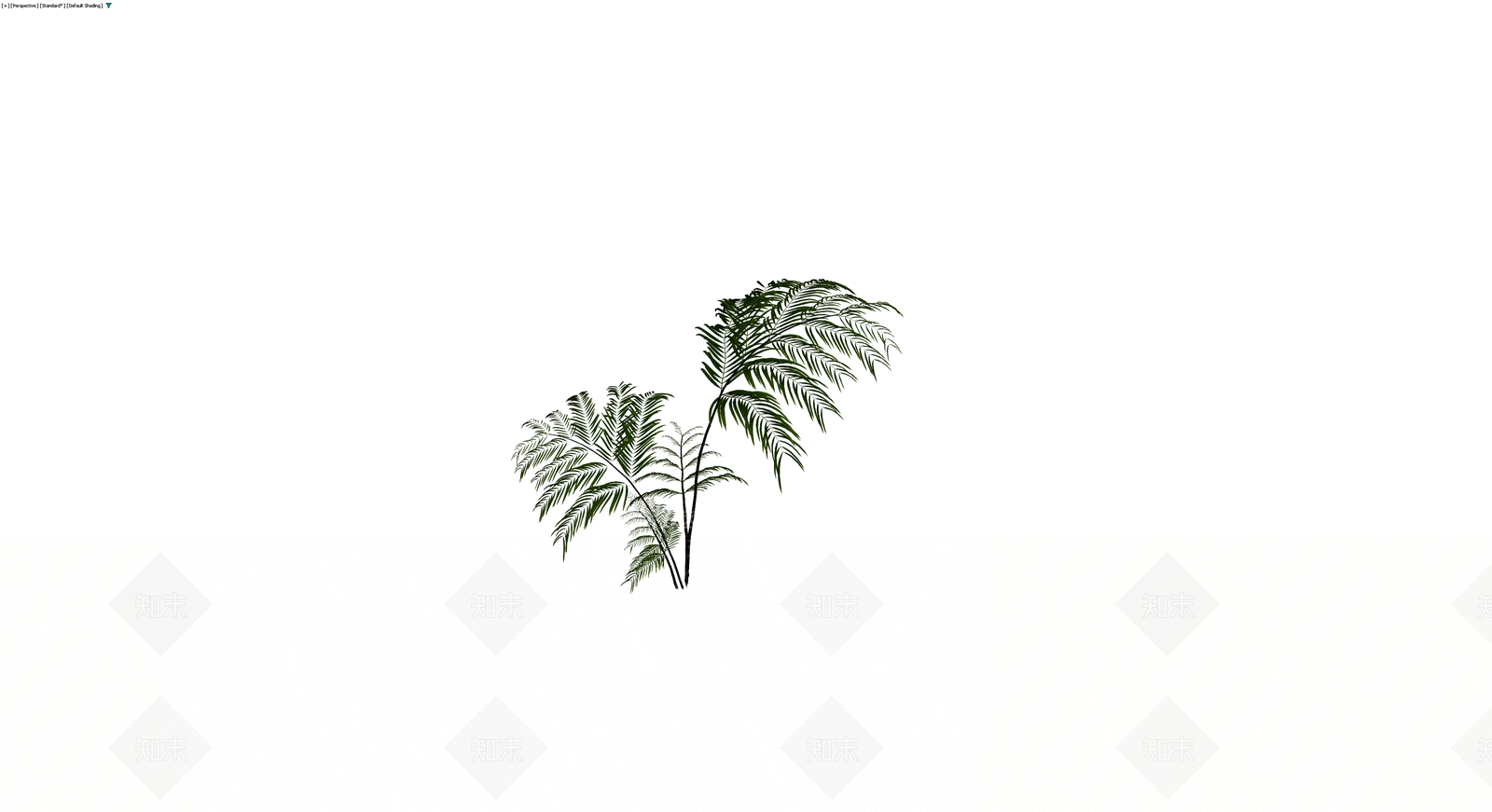 绿色蕨类植物模型3D模型下载【ID:1229612338】