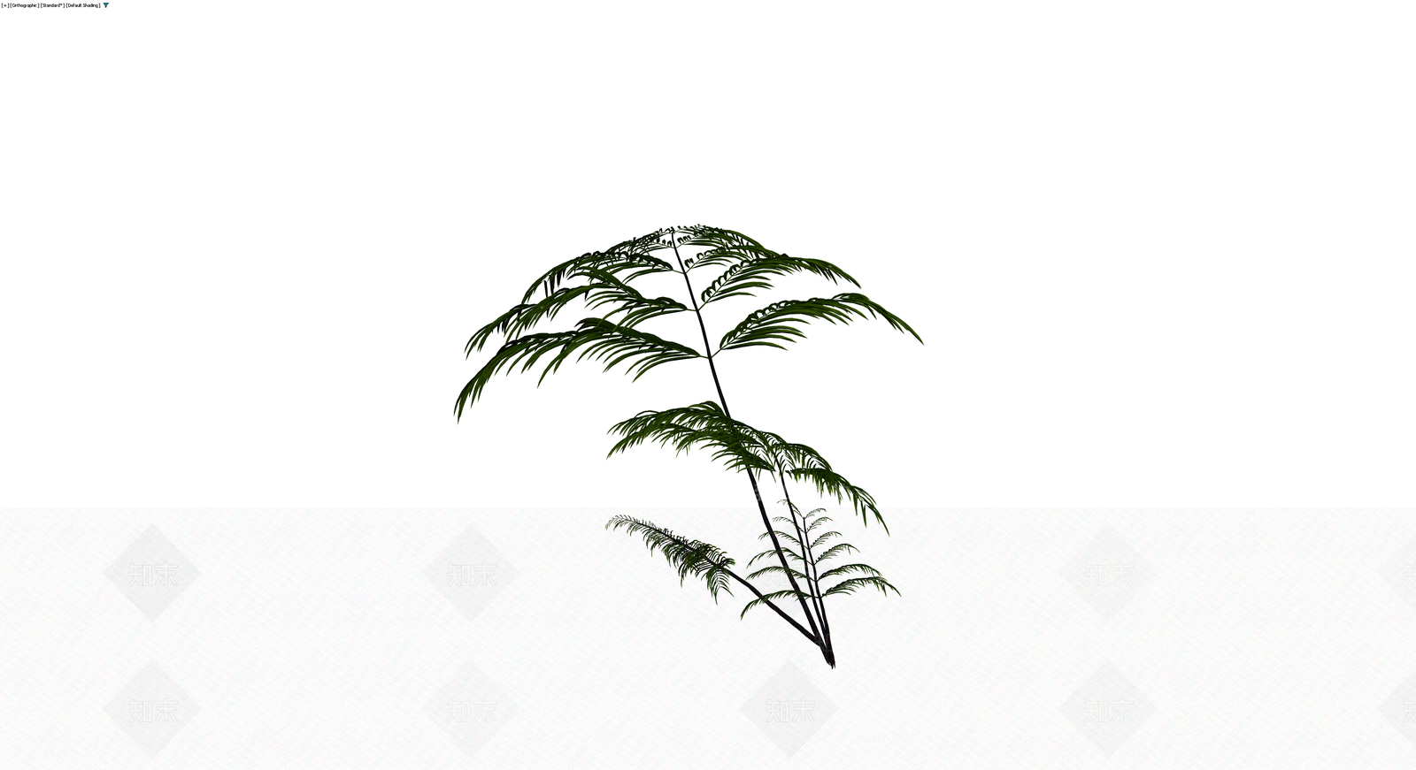 绿色蕨类植物模型3D模型下载【ID:1229612338】