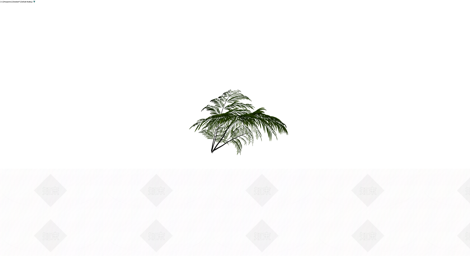绿色蕨类植物模型3D模型下载【ID:1229612338】