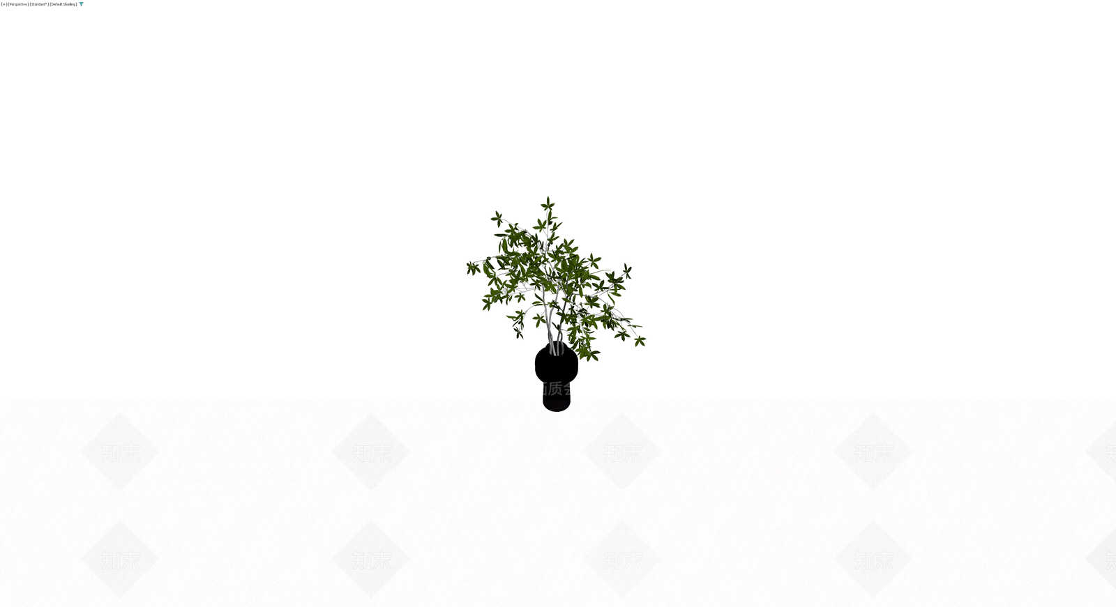 盆栽植物配黑色花瓶3D模型下载【ID:1230539432】