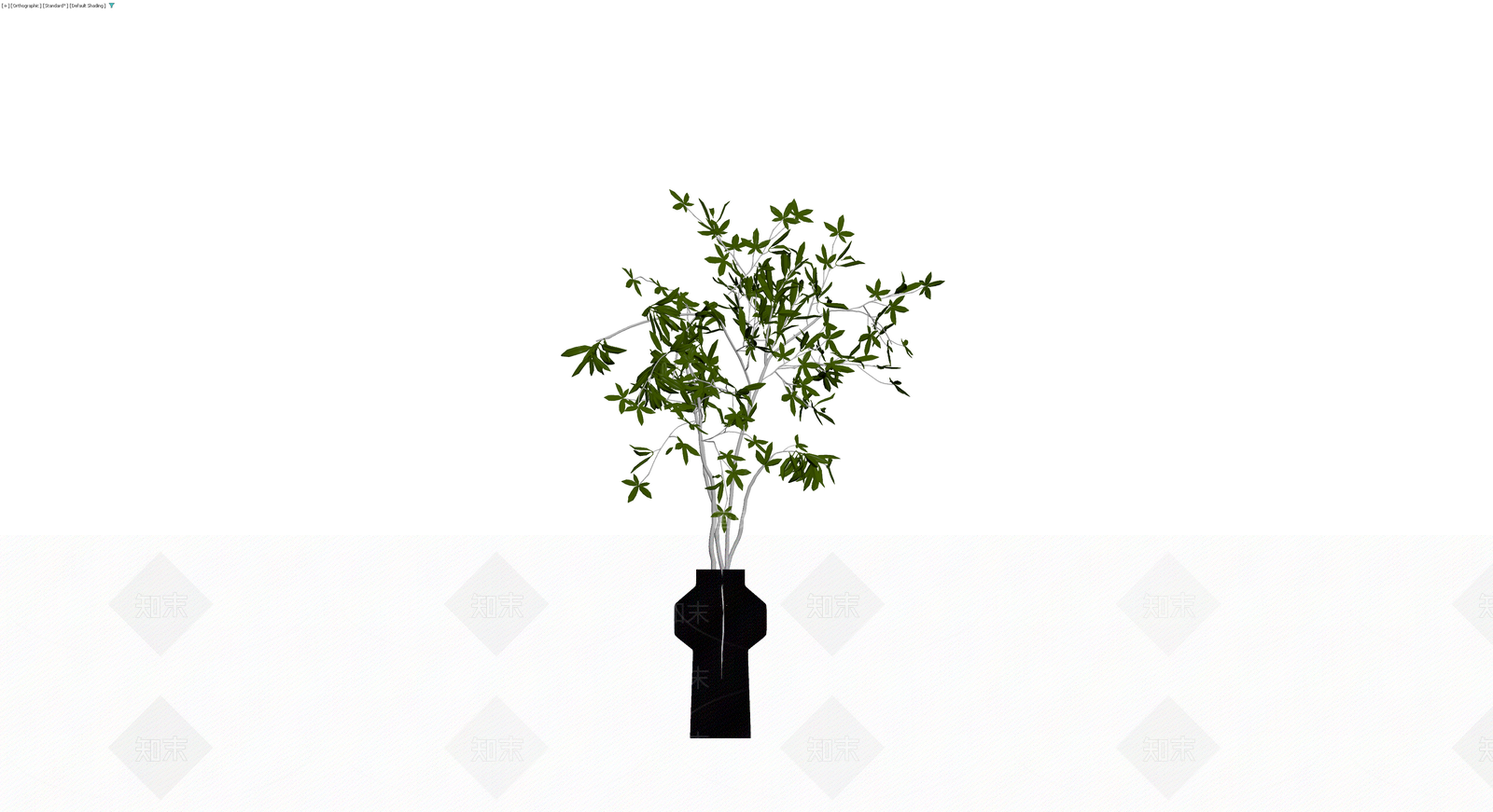 盆栽植物配黑色花瓶3D模型下载【ID:1230539432】