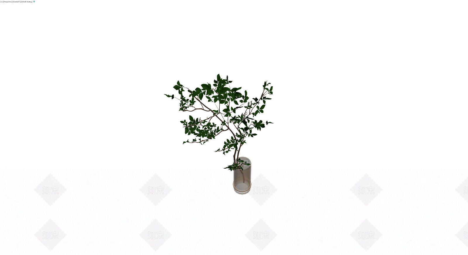 玻璃瓶插绿植盆栽3D模型下载【ID:1230112158】
