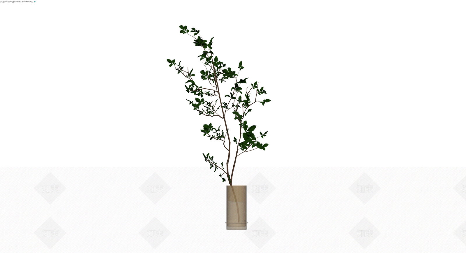 玻璃瓶插绿植盆栽3D模型下载【ID:1230112158】